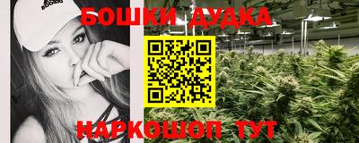 сатива Волжский